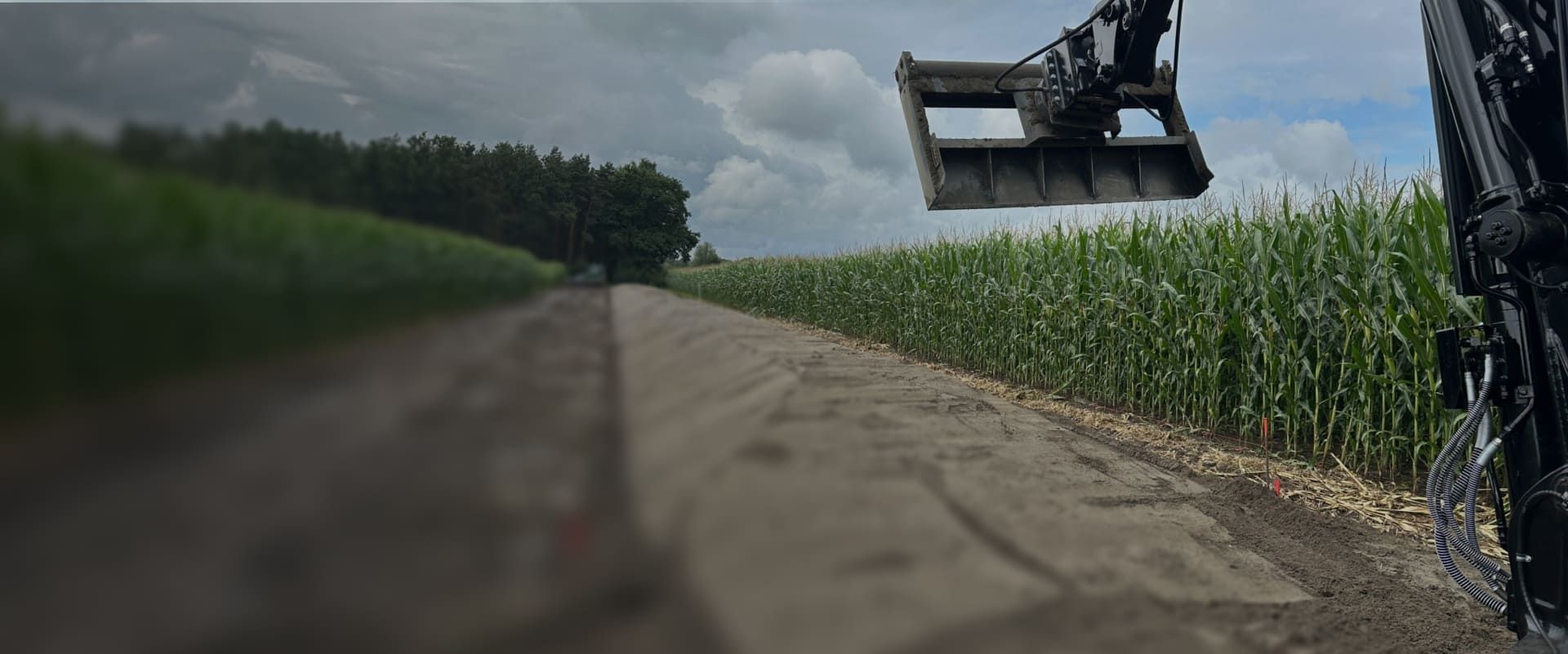 Ein Maisfeld mit einem Bagger